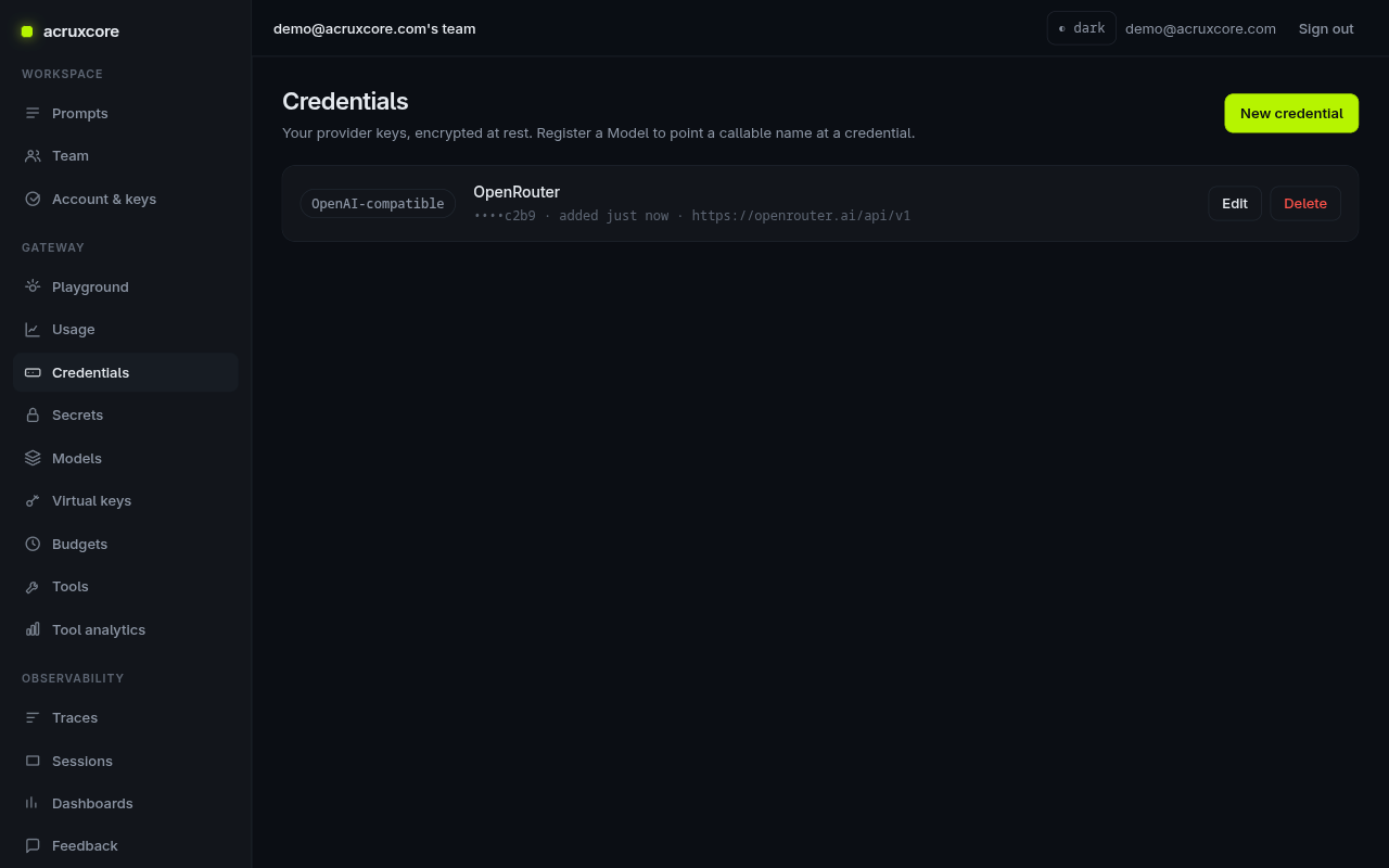 Credentials list showing an OpenRouter credential