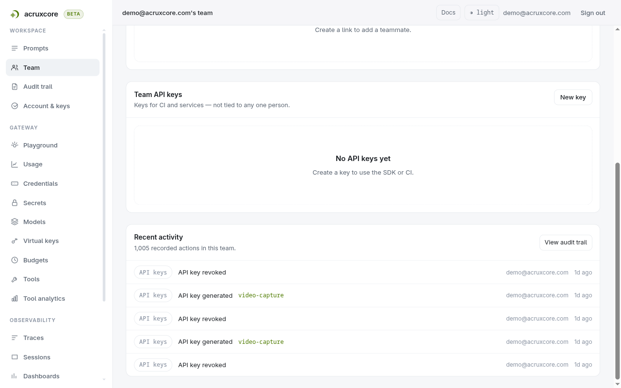 The Team page's Recent activity panel, reading 1,005 recorded actions in this team, listing five API key events with their actor and age, and a View audit trail button