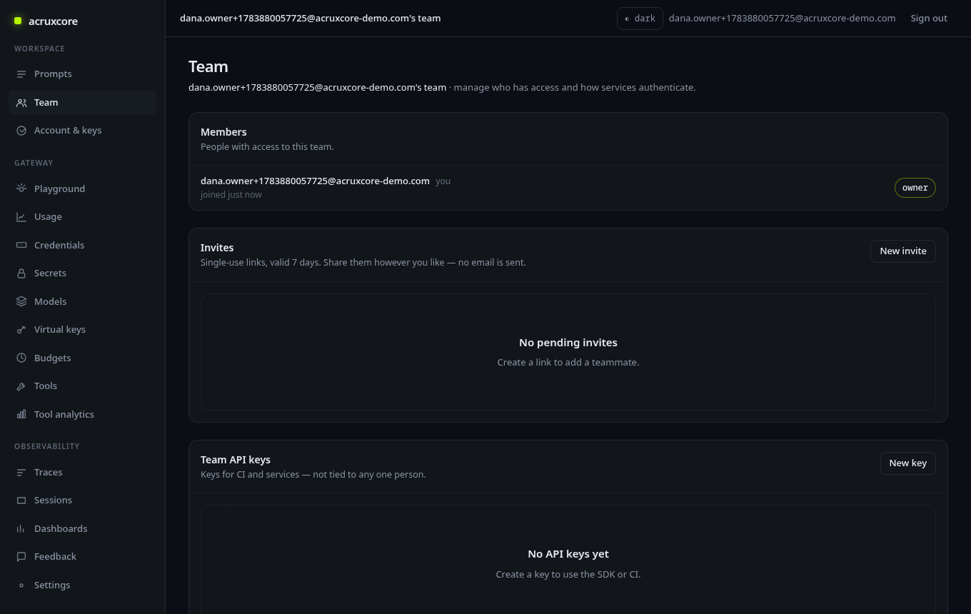 Team page showing the Members and Invites panels