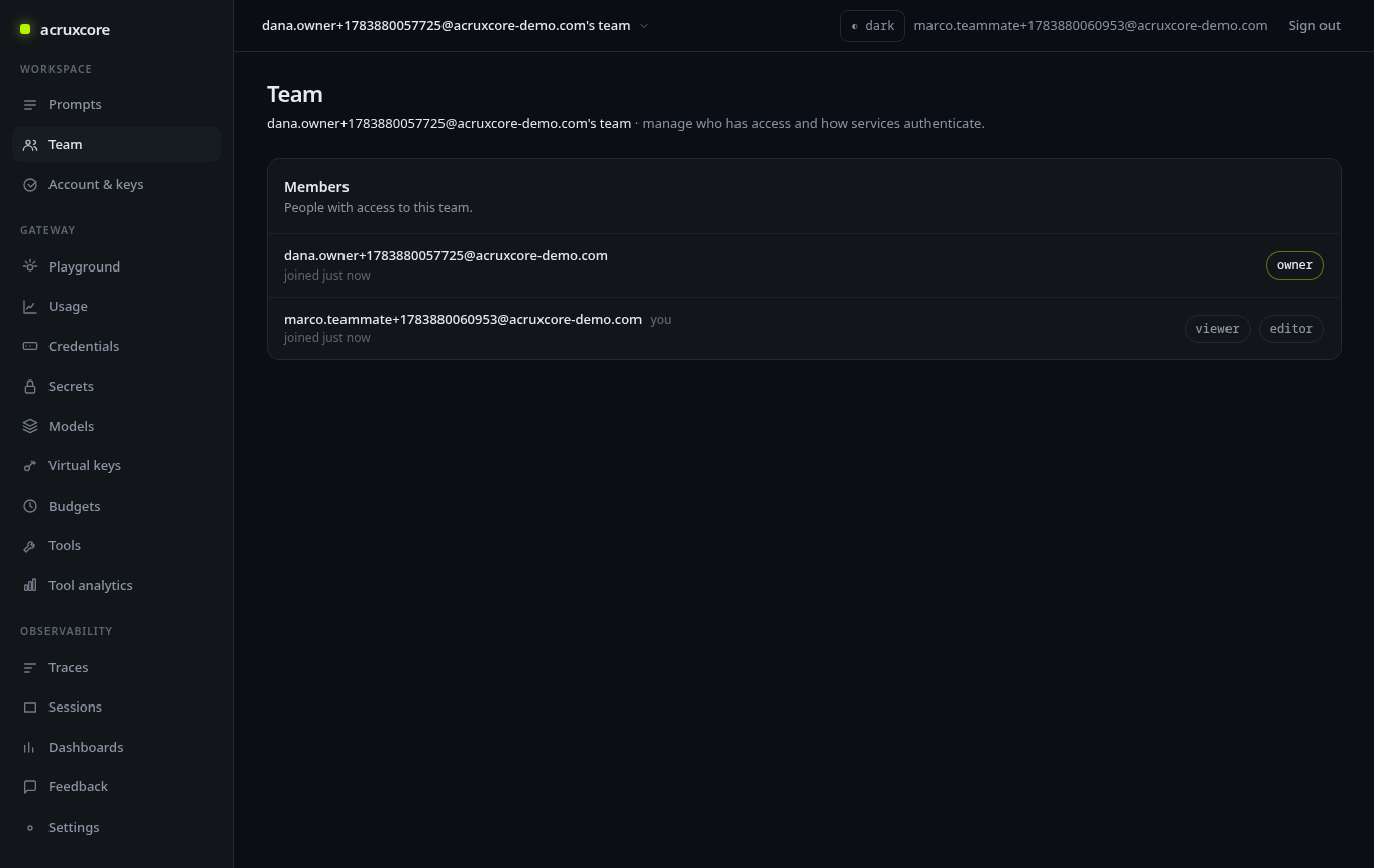 Team page from the new teammate's perspective, now a member with viewer and editor roles