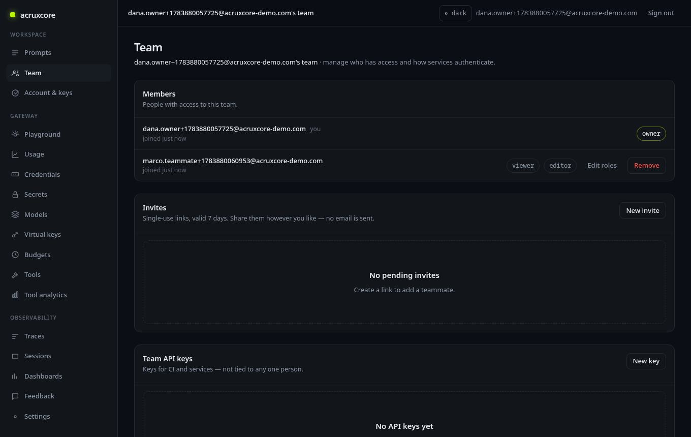 Team page now showing two members and the consumed invite no longer listed